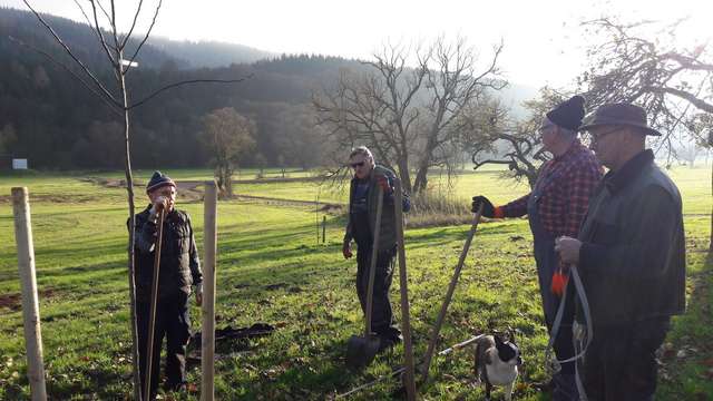  „Junge Rentner“ bei der Pflege der Streuobstwiese