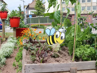 Gebüsebeet mit Bienen-Stecker