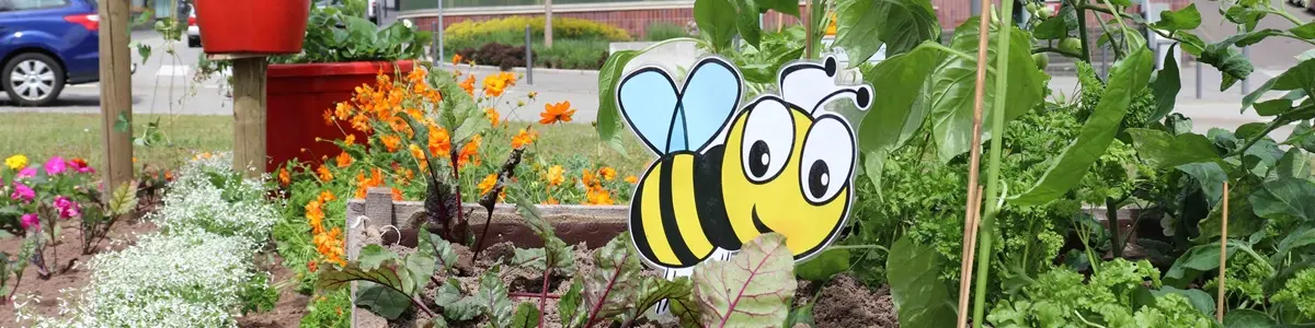 Gebüsebeet mit Bienen-Stecker
