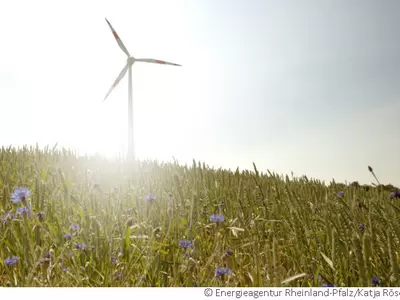 Windrad mit Wiese im Vordergrund