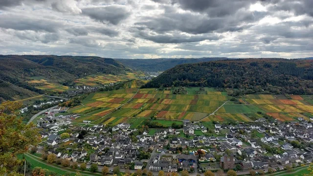 Blick von oben auf ein Dorf in ländlicher Umgebung