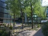 Begrünter Innenhof eines größere Gebäudekomplexes