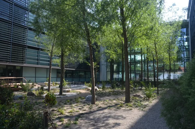 Begrünter Innenhof eines größere Gebäudekomplexes