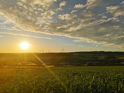 Sonnenuntergang hinter Landschaft