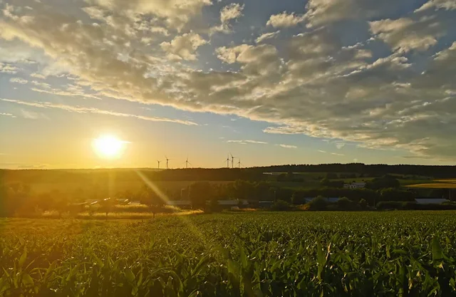 Sonnenuntergang hinter Landschaft