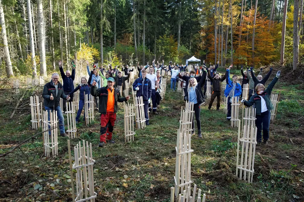 Pflanzaktion von Forstwirten und Mitarbeitenden der Stadtwerke Kaiserkautern im Wald