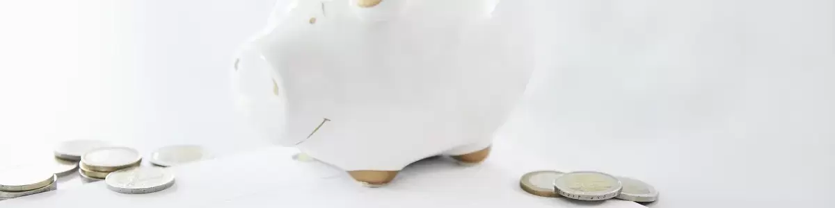 Sparschwein, Taschenrechner, Münzen