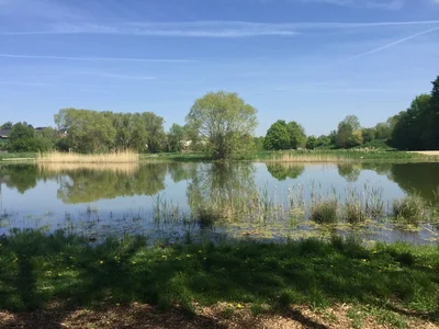 Landschaftsbild mit Weiher