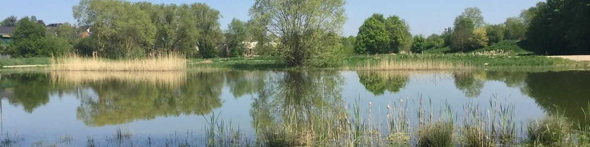 Landschaftsbild mit Weiher