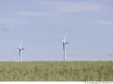 Windräder am Horizont zu sehen, davor ein grünes Feld