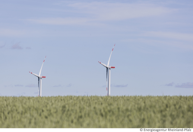 Windräder am Horizont zu sehen, davor ein grünes Feld