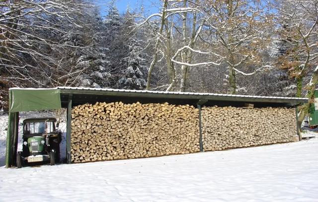 Gelagertes Holz mit Traktor im Schuppen