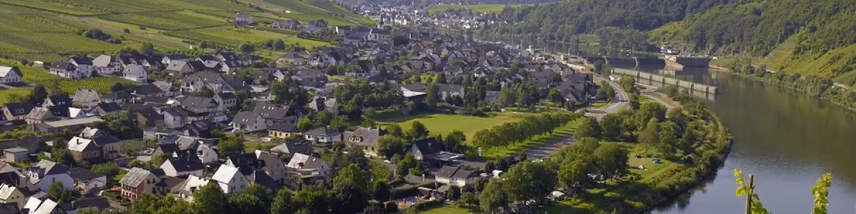 Landschaftsbild mit Fluss, Kommune und Weinbergen