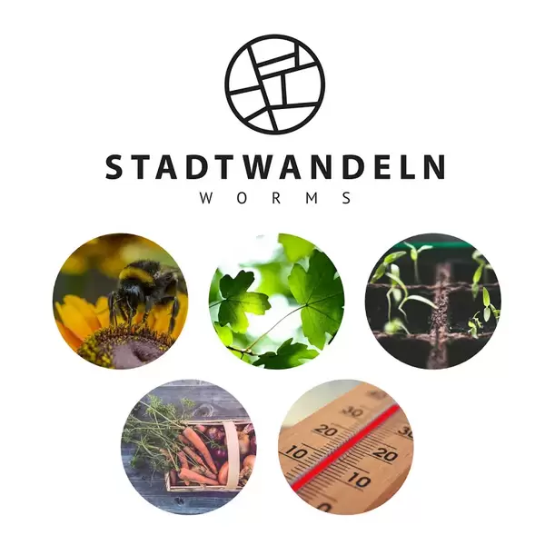 Cover bzw. Logo Stadtwandeln