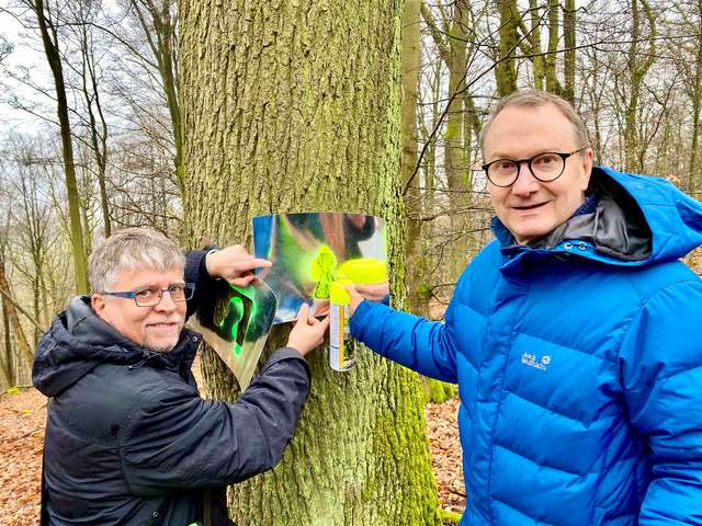 Andreas Wagner (links), Geschäftsführer im Studiwerk Trier markierte die ersten „Mensa-Bäume“ gemeinsam mit Dr. Tobias Büttner (rechts),  dem Geschäftsführer der Energieagentur Rheinland-Pfalz im Stadtwald der Vereinigten Hospitien auf dem Kockelsberg in Trier