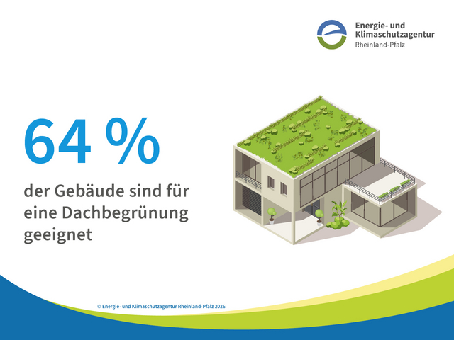 Grafik mit Text: 64% der Gebäude sind für eine Dachbegrünung geeignet
