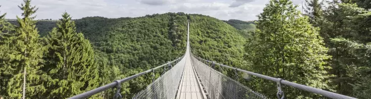 Hängeseilbrücke Geierlay führt zum anderen Ende in den Wald