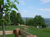 Neu gepflanzte Bäume in einer Landschaft mit älterem Baumbestand und Wiesen