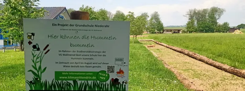 Schild, das in einer Wiese steht