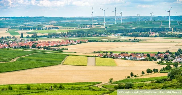 Kommune eingebettet in sommerliche Landschaft