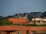 Gründach