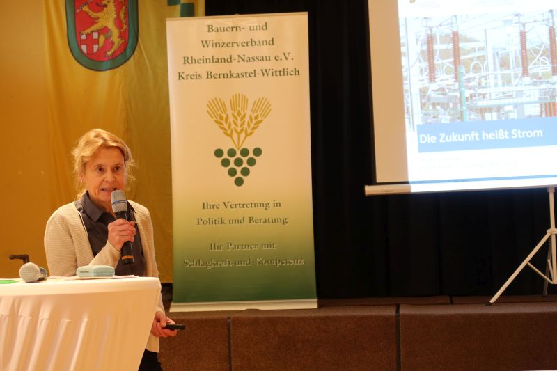 Landwirtschaft und PVFreiflächenanlagen